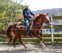 /album/galerie-de-photos-page-daccueil/reining-1-jpg/